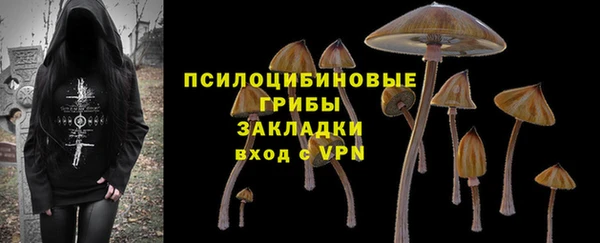 гашик Абдулино