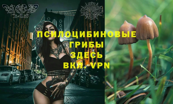 дурь Абинск