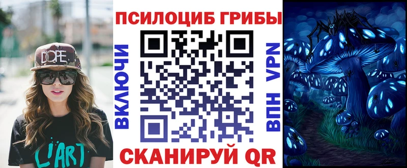 shop формула  Ряжск  Псилоцибиновые грибы Psilocybine cubensis  купить наркотики сайты 